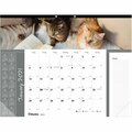 Davenport & Co 22 x 17 in. Furry Collection Cats Desk Pad DA3756983